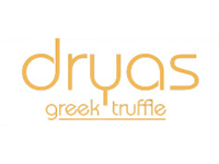 Dryas