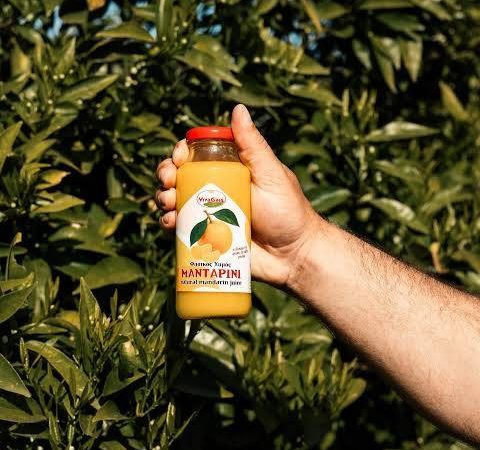 Φυσικός Χυμός Μανταρίνι 250ml/ 500ml- ‘’VivaGaia’’